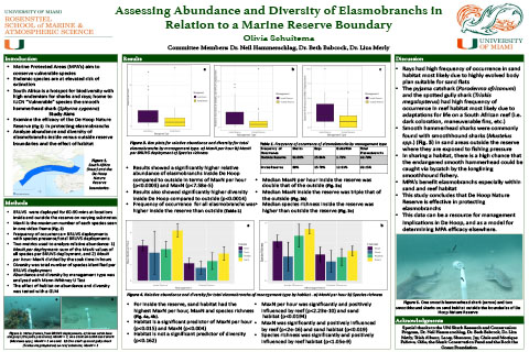 Olivia Schuitema Research Poster